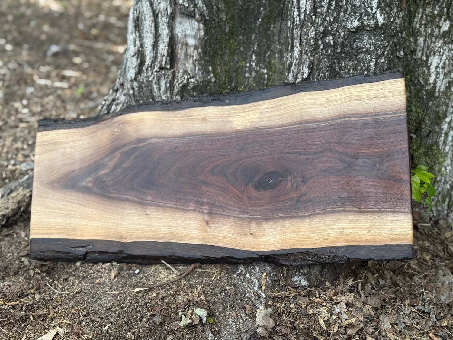 Live Edge