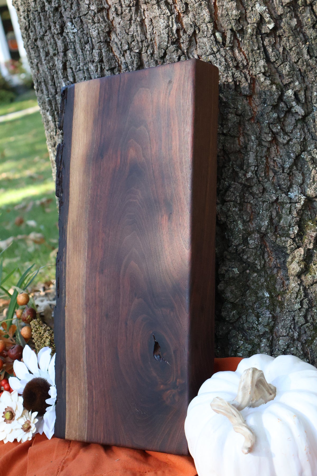Live Edge charcuterie