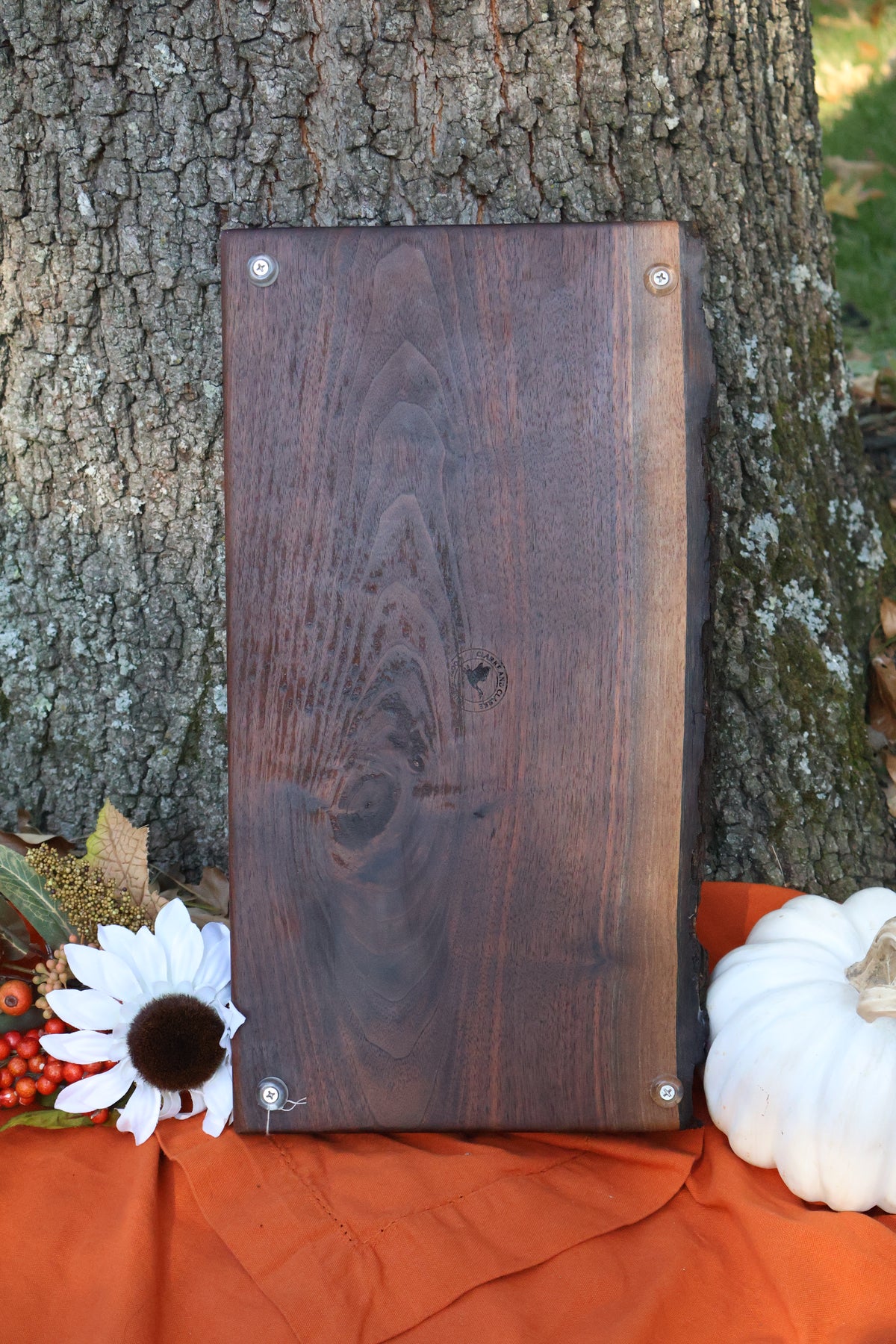 Live Edge charcuterie