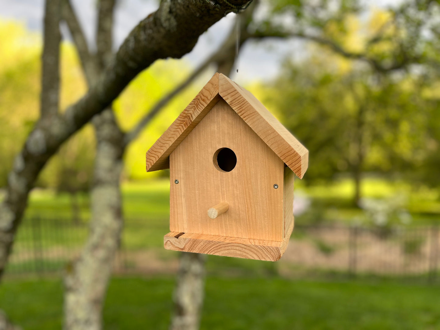 Song Bird House