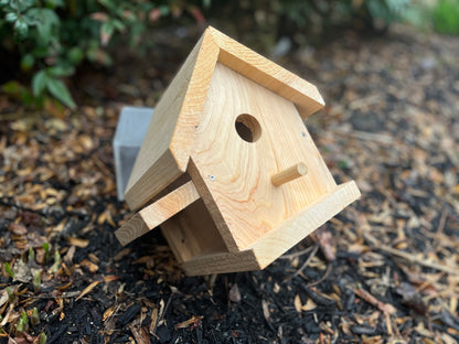 Song Bird House